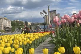 Тимчасова реєстрація в Києві: як оформити і хто може скористатися цією послугою.