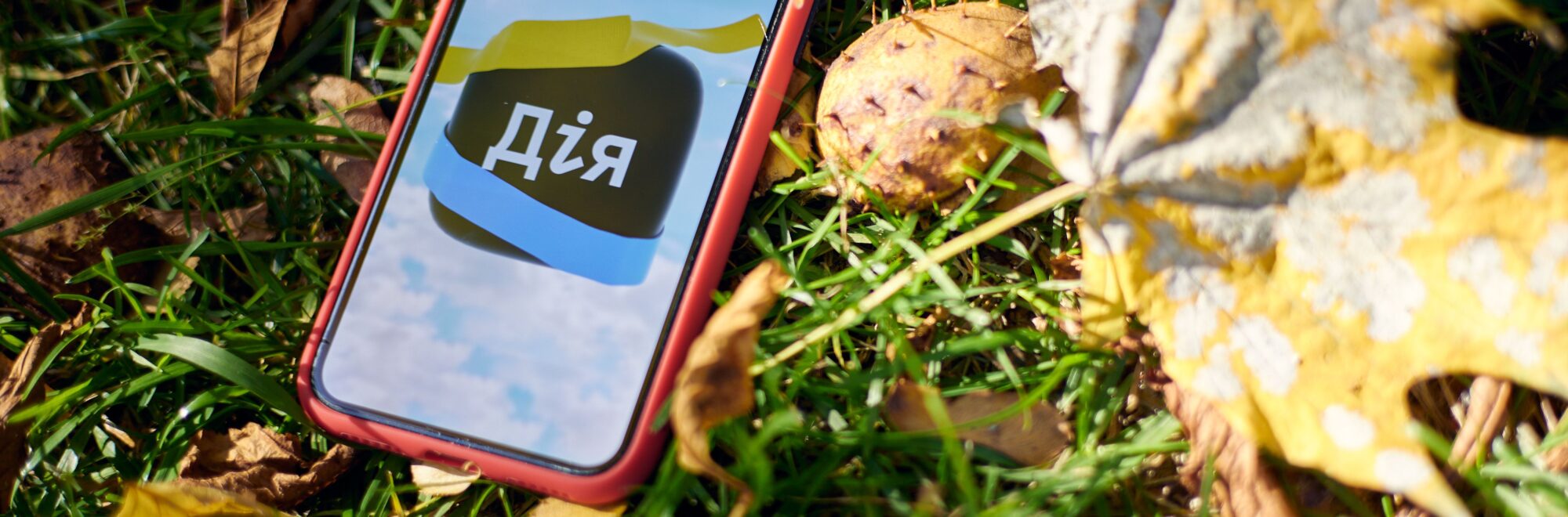 ПРОПИСКА ДИТИНИ ЧЕРЕЗ ДІЮ